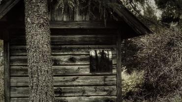 349976650 612795610775406 5099542330458606841 N