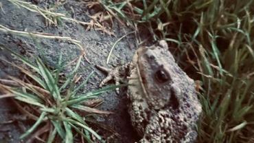 354450637 751099147018664 3851539622183093135 N