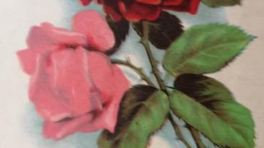 334936942 1324870928089079 4611859015690803513 N