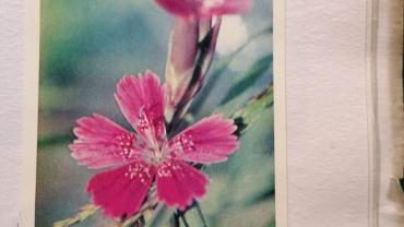 334938381 198807636100978 8420991530631058115 N