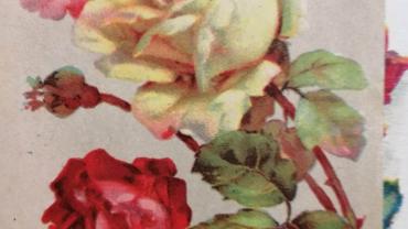 334939685 585660713464556 2815089003414607732 N