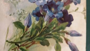 334942441 1442209879644399 3672496705150160674 N