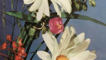 334947940 128282123515861 6072161821447836463 N