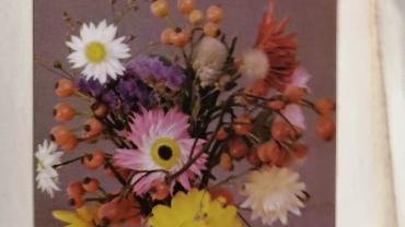 334972571 615423603753306 8089894473647161779 N