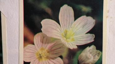 334972575 586506906738656 4751849895004645592 N