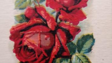 334980745 978898646821613 6414227887158906787 N