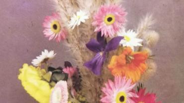 334985289 532824305601711 3531211853451920954 N