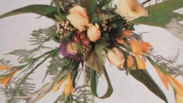 335109744 516868543962932 1410688929285156952 N