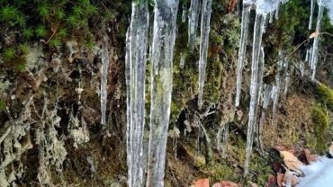 330216299 956745895739545 6033291760671362065 N