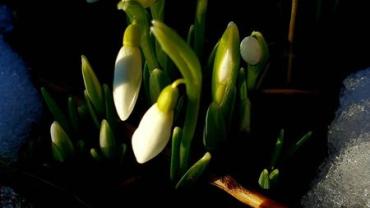 330373273 197118933007462 2975250219460827736 N