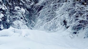 331944100 195738353142673 5010984455321289383 N