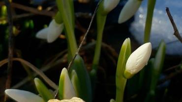 335029078 5945020998868854 295088916722639515 N