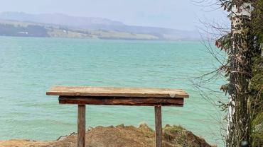 336678902 920069349116893 749363513464075250 N