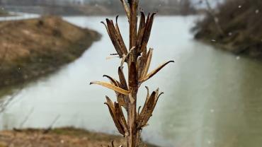 336715621 741342674107360 7418824593907690764 N