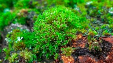 336786212 1241908870069940 1584125135571094994 N