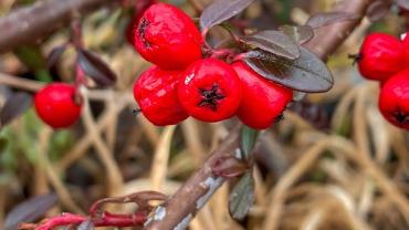 336796803 635686894974919 1314196388849373953 N