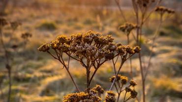 336797974 754491639402219 303329166366977422 N