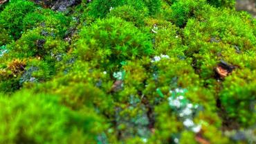 336991324 1915805045426552 7608702104597458651 N