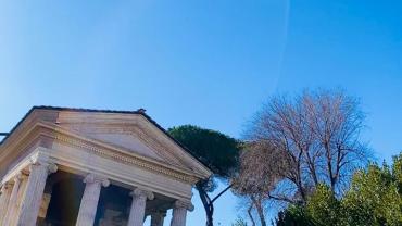 339117431 919085599294184 2474719772894901666 N