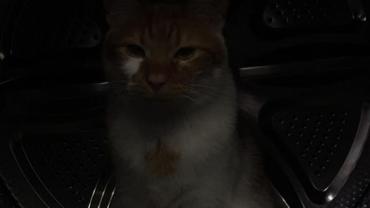 339749711 602148821546565 6956812543229167529 N