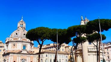 339876775 605705838093864 1697264681175896941 N