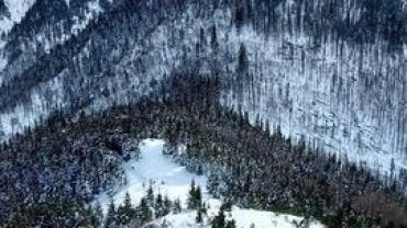 340648642 1569388983572914 9069577187733786497 N