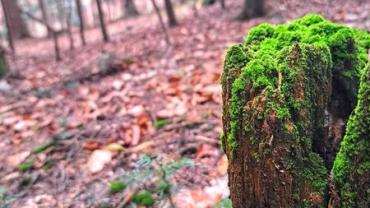 340946052 1145305173532293 2286632944549108348 N