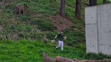 342864416 184801597327108 4626316874888156216 N