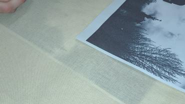 347602207 619958676846157 3928632018215663156 N