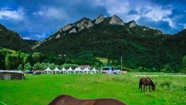 377504809 811664560962122 7109643814910045897 N