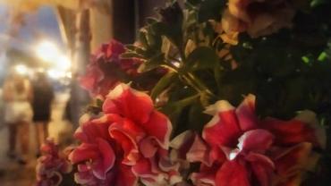 379294938 813397137455531 8085614911097691779 N