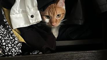 380415175 816940617101183 5682632194312637302 N