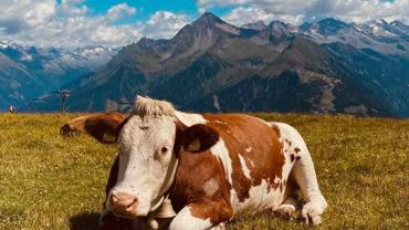 380608583 818737093588202 1989965626934194057 N