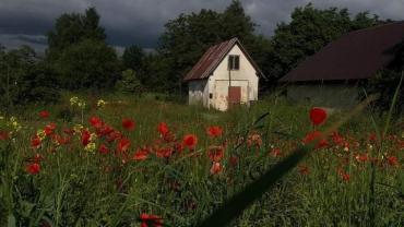 381031659 818737040254874 9056466830694278053 N