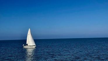 381038564 818736973588214 3441140978758314465 N