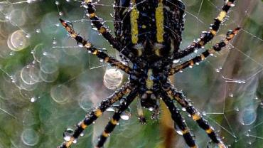 381045832 817645200364058 3114891150839956581 N