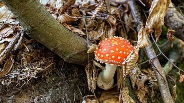 386247227 828057519322826 6429131657413267904 N