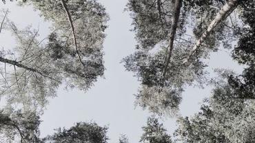 387200964 828766345918610 1375912487659897255 N