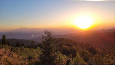 387774009 833120105483234 5779570634365439592 N