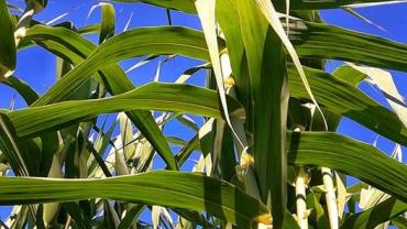 387776842 832400435555201 5502283766591419645 N