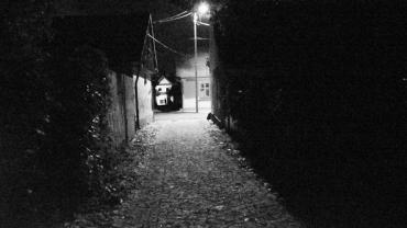 387868906 833909305404314 598607594061136702 N