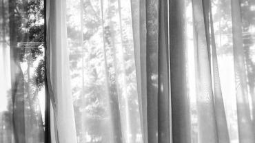 392749686 837845098344068 7705816773876674701 N