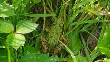 393198488 836980041763907 7763133955391155888 N