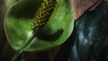 393921342 840107208117857 3097560799293851375 N