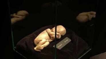 393923237 838547101607201 7014139809354223707 N