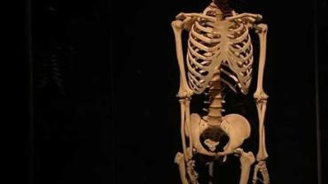 394085692 838547164940528 8811554160917071392 N