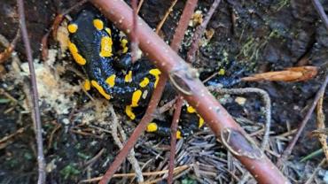 395936999 843620171099894 2870049249279878652 N 1