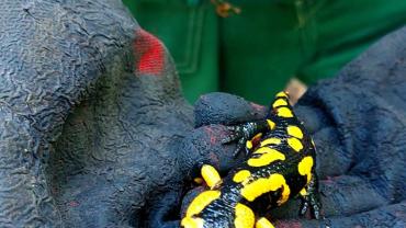 396041439 844367747691803 1310050169402737969 N