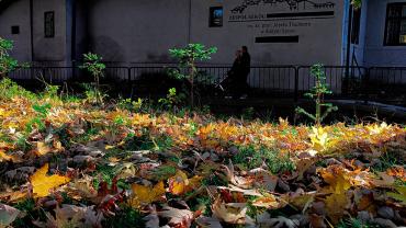 397391825 846858394109405 4462191585799763196 N