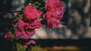 397422691 846858350776076 440967647540447324 N